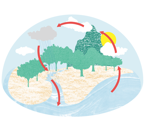 Natural-circulation-img