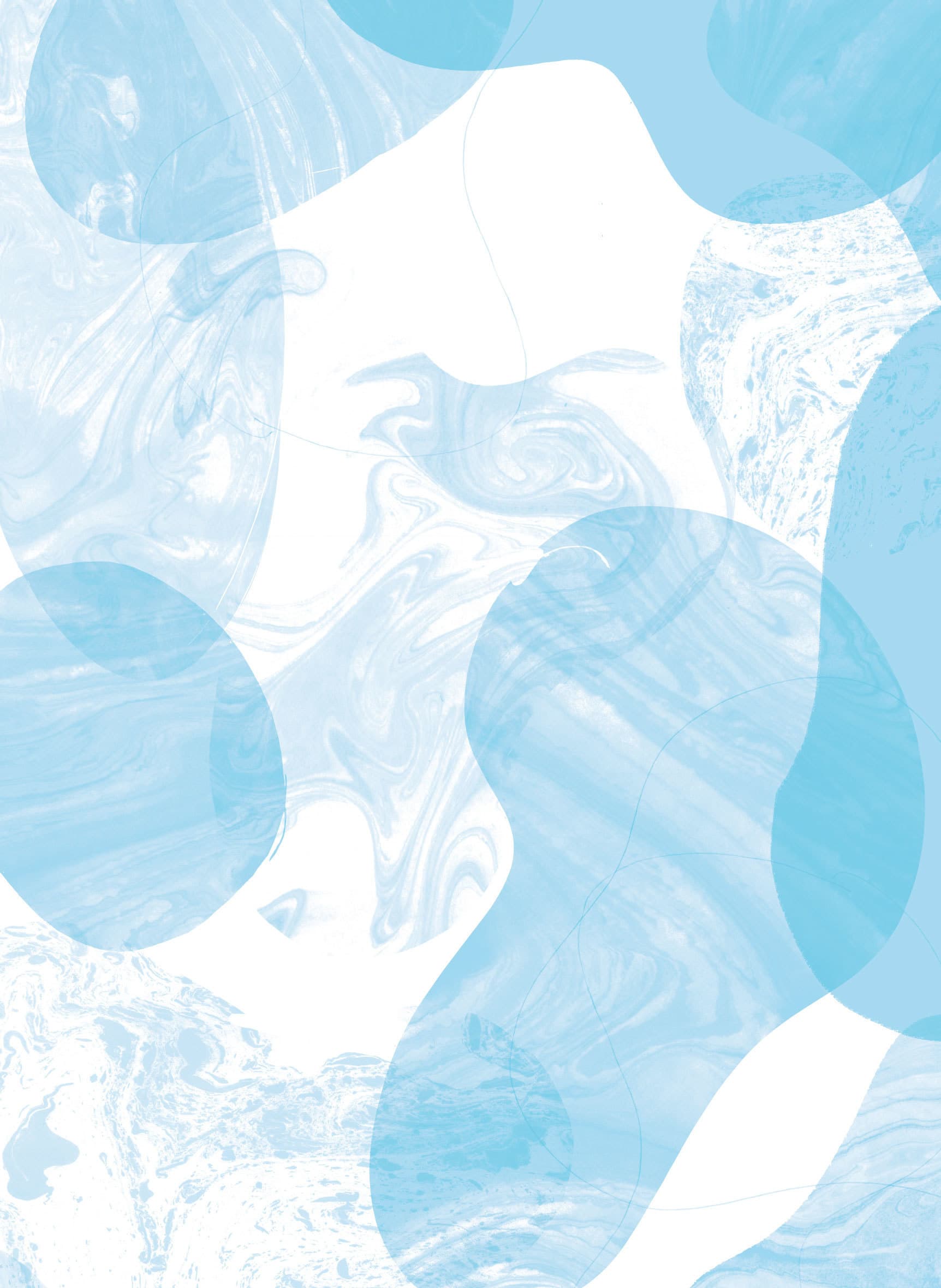 flowflow_renewal-back00.jpg