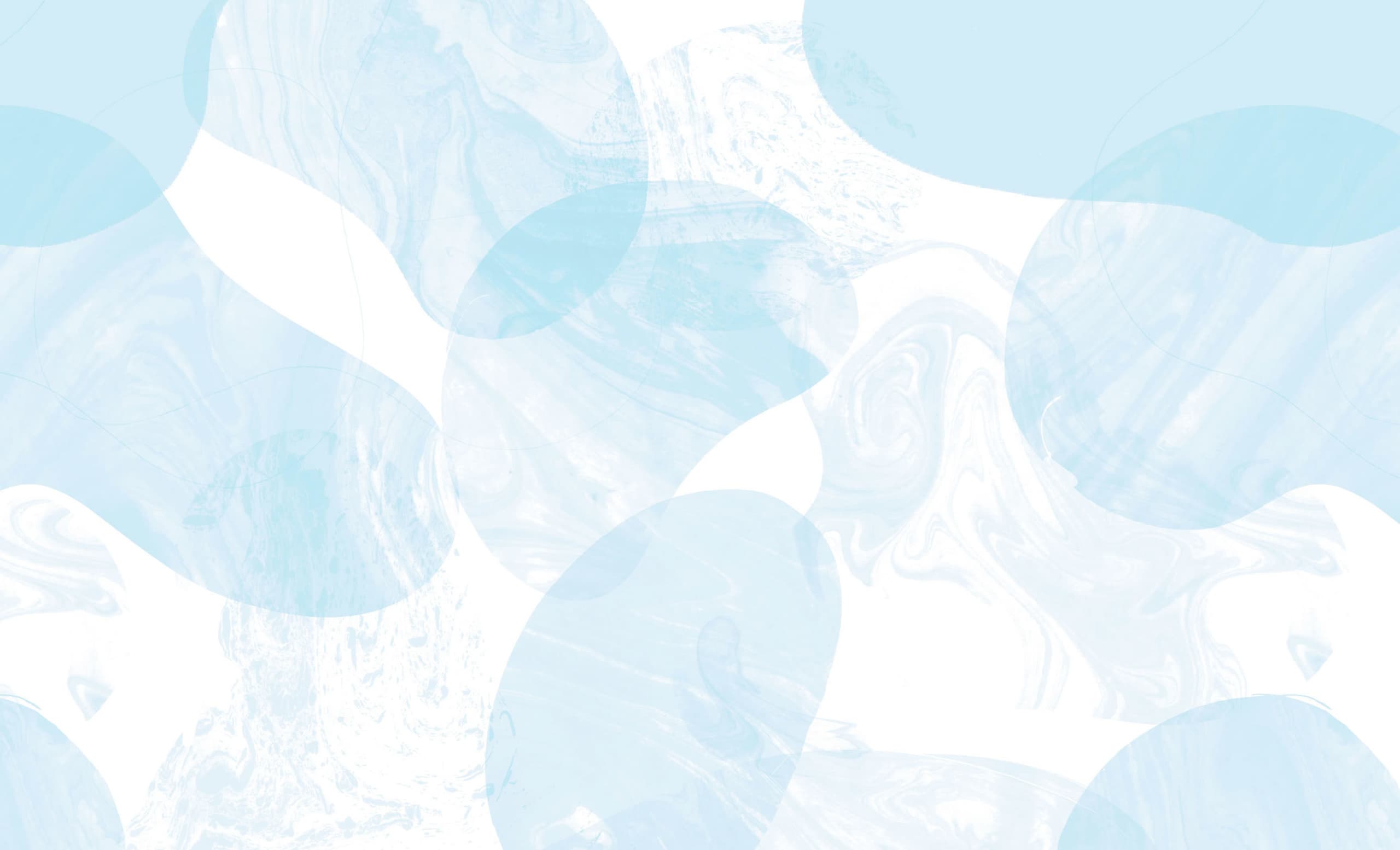 flowflow_renewal-back02.jpg