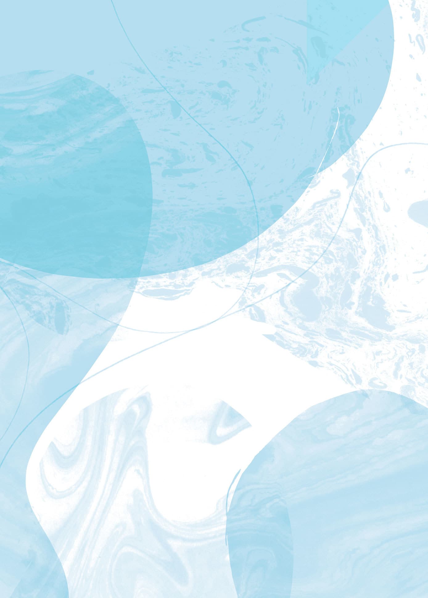 flowflow_renewal-back03.jpg